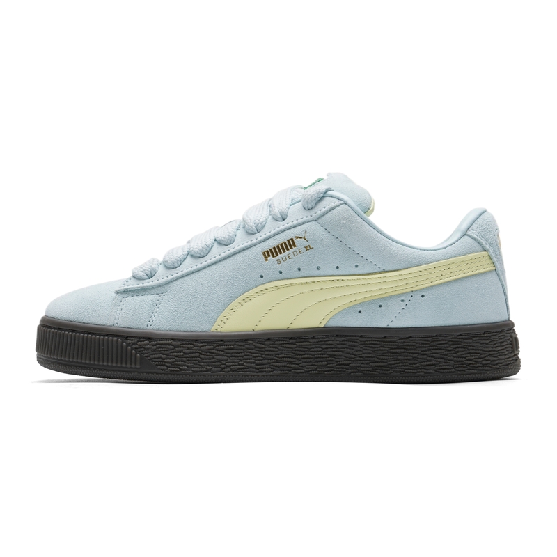 Puma Sneakers for Men and Wome – Men'S Shoes Puma Sports recenzja i cena