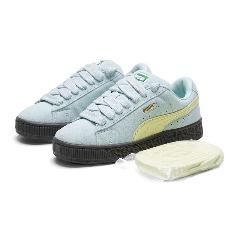 Puma Sneakers for Men and Wome – Men'S Shoes Puma Sports recenzja i cena
